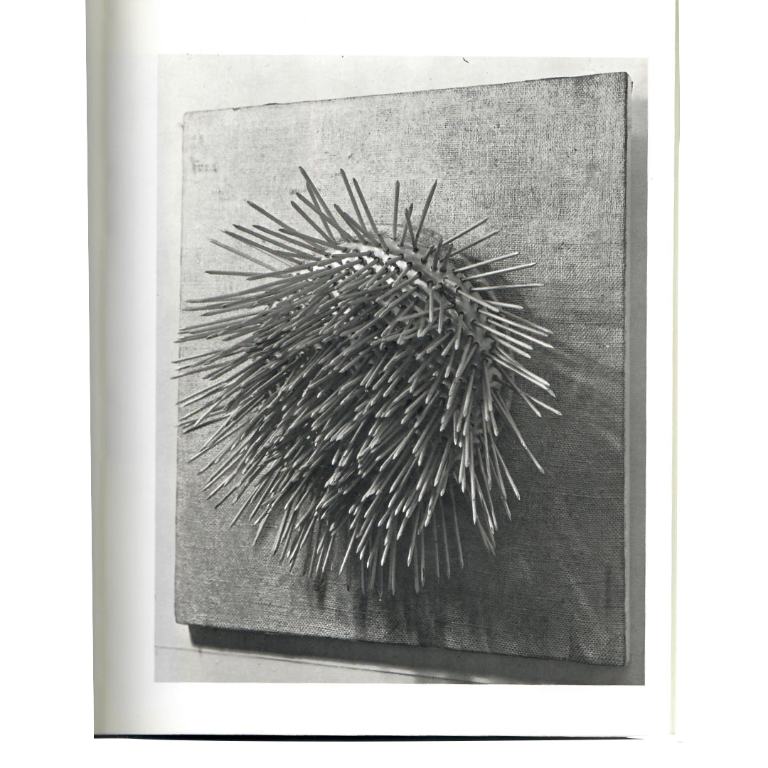 The Peggy Guggenheim Collection Venice (1966)