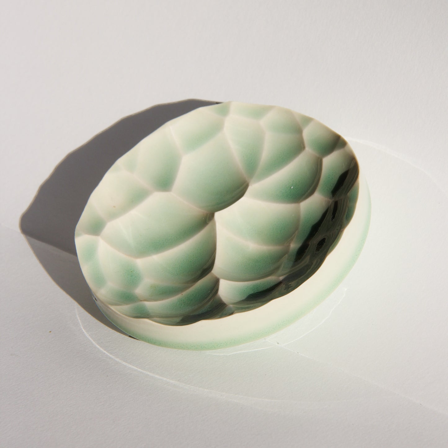 [ALL PURPOSE TRAY - GLACIAL]